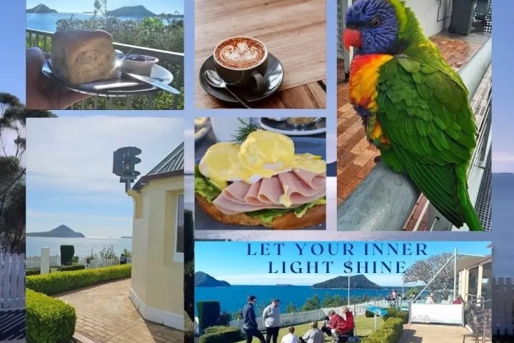 Collage with food, a bird, and people by the sea.