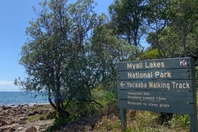 Park sign near trees with coastal view, clear blue sky.