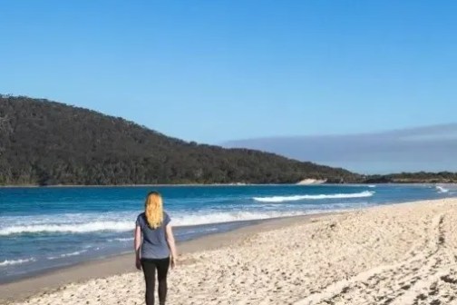 Person walks on a sandy beach by the ocean under a clear blue sky.