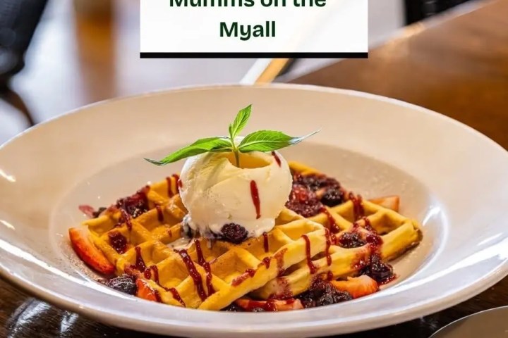 Waffle with ice cream, berries, and syrup on a white plate.